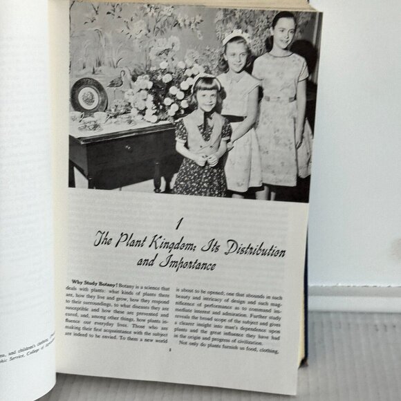 Vintage 1960 Botany: Hill Overholts Popp Grove Mcgraw-Hill Hardcover Book - Picture 6 of 12